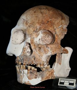 Chinese Hominin Bones