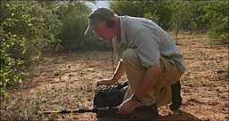 Sound of the wild: Chris Watson's audio adventure