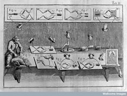 Dissection of a sheep by Galvani
