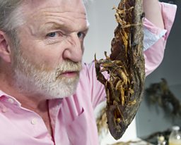 BBC Learning - Rot Box Live