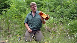 Photo: Ray Mears