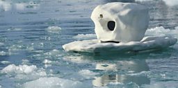 Iceberg Cam