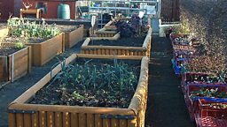 Adaptable Gardening