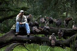 ON A CALL SURROUNDED BY TURKEYS