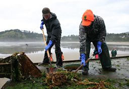 Cleaning the dock