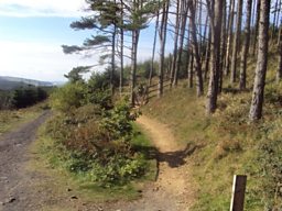 From Mining to Mountain Biking