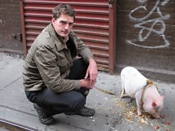 Dan's new friend... Peanut the pig