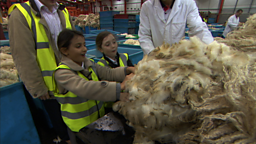 How is wool made?