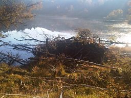 Winterwatch