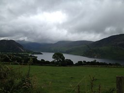 Wild Ennerdale