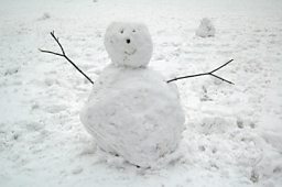 Cold Winters in a warming world