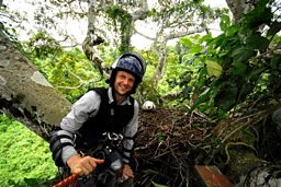 James Aldred and the Harpy Eagle chick