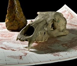 Ancient Human Occupation of Britain Project