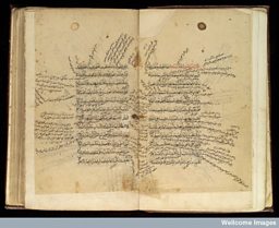 Double page from Mugiz al-Qanun, an Arabic medical text 