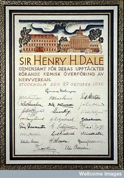 View of the left side of Nobel Prize awarded to Sir Henry H Dale and Professor Otto Loewi in 1936