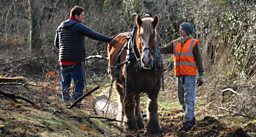 Lagan Valley Horse Power