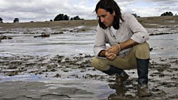 8,000 year old footprints