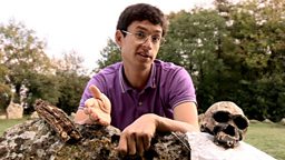 Radiocarbon dating
