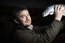 Farmed Salmon