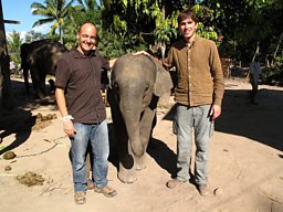 LAOS - NO LONGER 'THE LAND OF A MILLION ELEPHANTS'