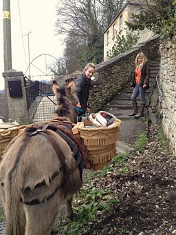 Donkey Deliveries