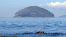 Ailsa Craig