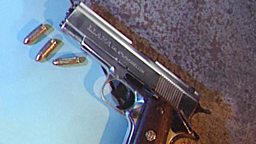 A gun