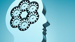 Brain cogs