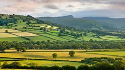 UK countryside