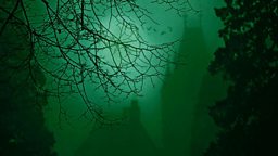The Gothic Imagination: Bloody Poetry