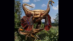 Artistic reconstruction of the feathered ornithomimed dinosaurs found in Alberta, Canada