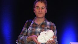3D foetus