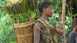 Walking in the Congo rainforest