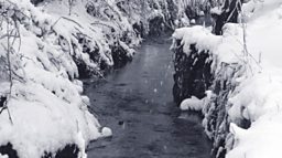 winter