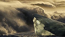 Chasing Ice
