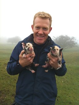 Adam and pigs