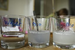 Bio & Non-Bio washing powders - Egg Test