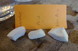 Bio & Non-Bio test - which was more powerful?