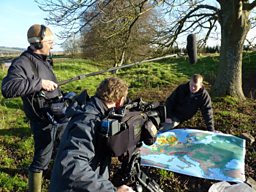 TOM ash dieback map