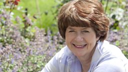 Pam Ayres