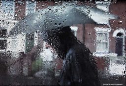 Person with umbrella