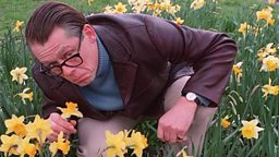 john shuttleworth