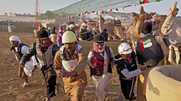Camel race