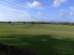 The view across Croome in Worcestershire