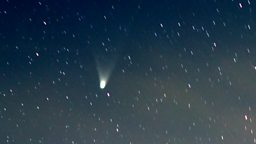 Comet PanSTARRS by Tom Harradine