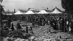 The RHS show