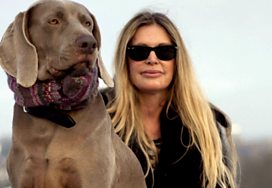 Walking with dogs