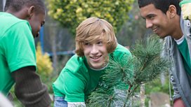 Volunteers planting trees
