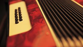 Accordian