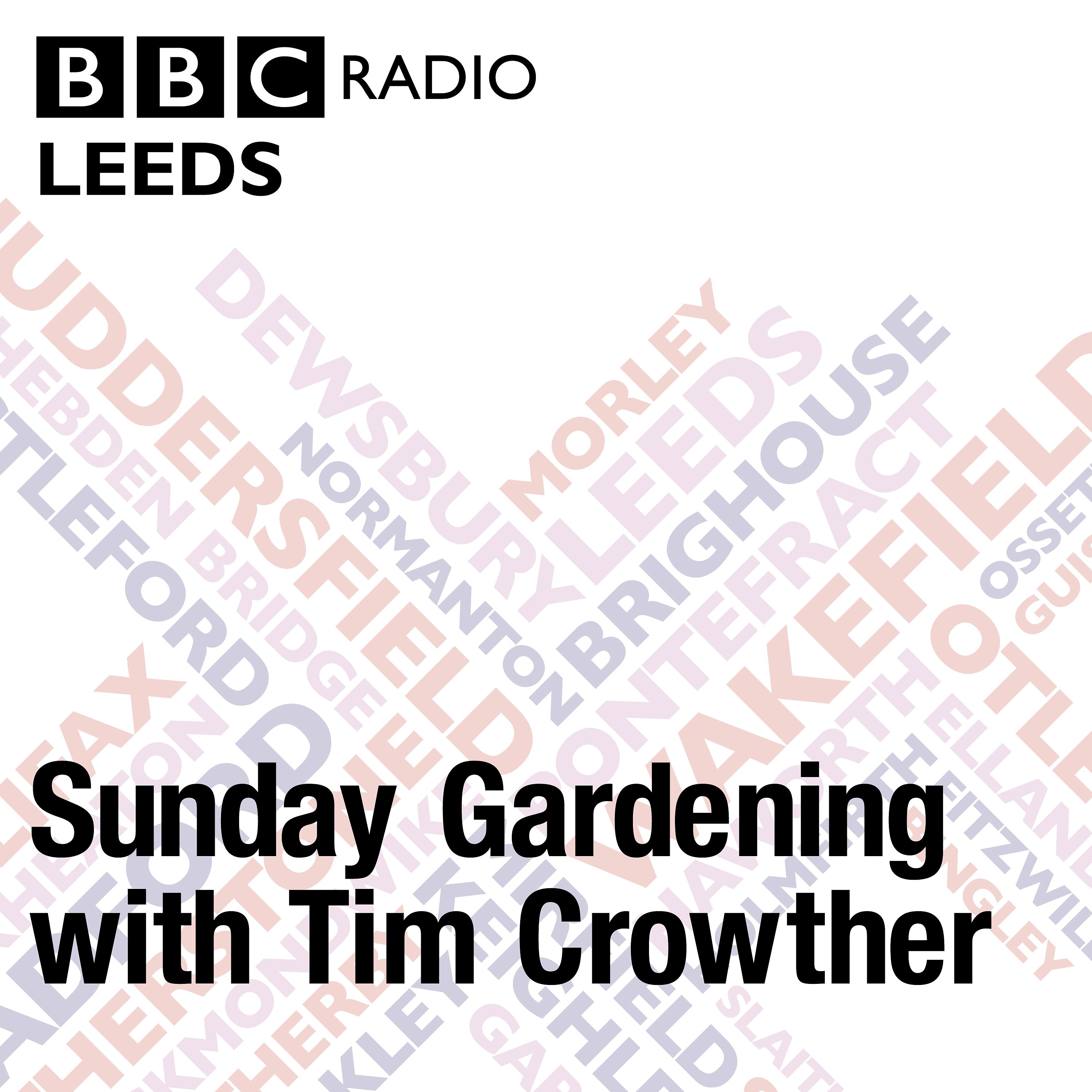 BBC - Podcasts and Downloads - Gardening with Tim and Joe